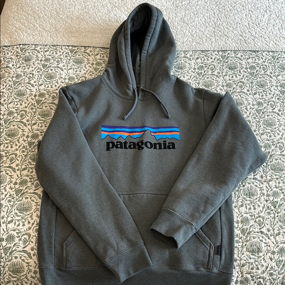 Patagonia Gray Sweatshirt Hoodie Casual Style